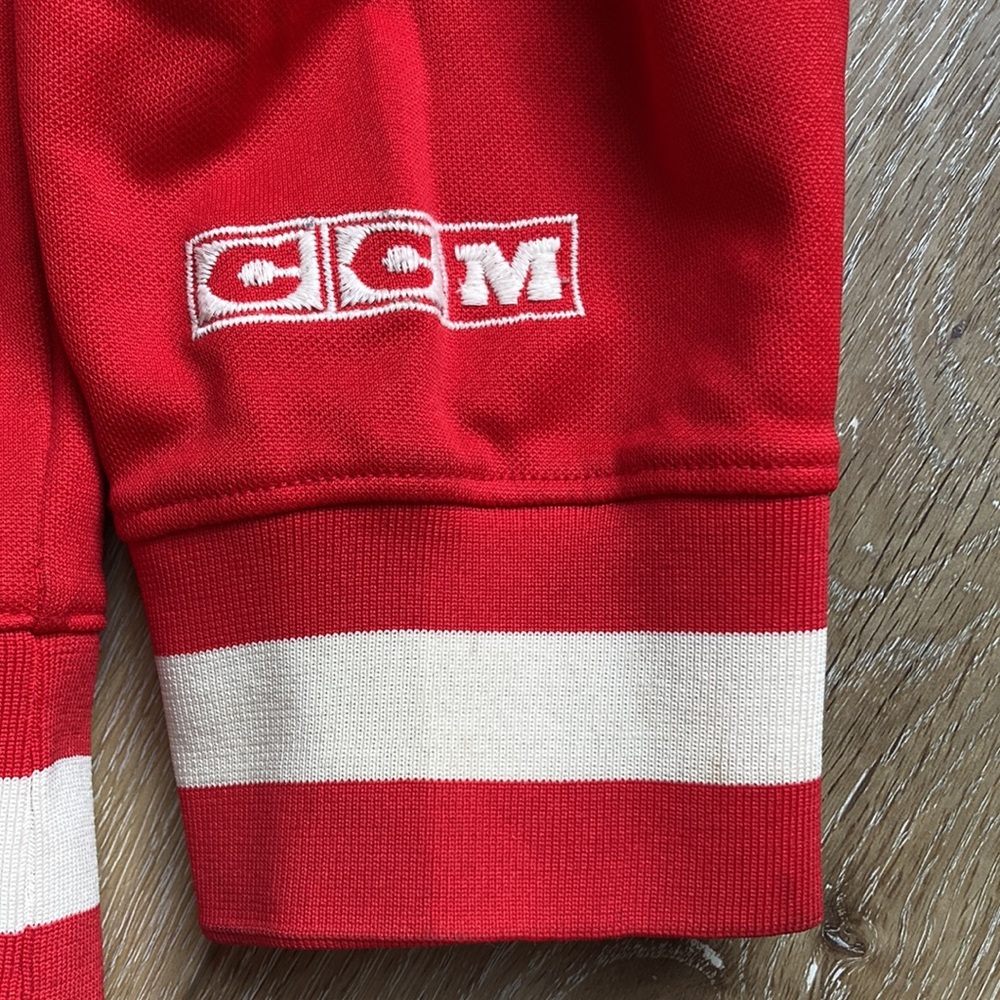 Vintage Detroit Red Wings CCM Stanley Cup Champions Jacket Size X-Large - Picture 6 of 14
